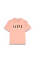 AMIRI LOGO T SHIRT